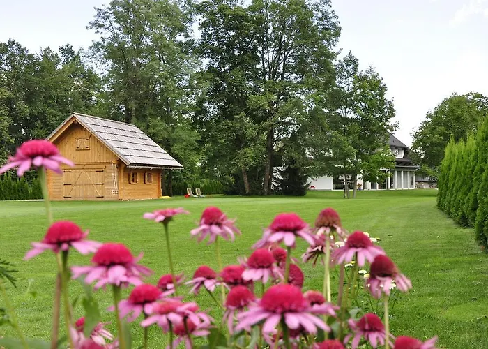 Bledea * ブレッド